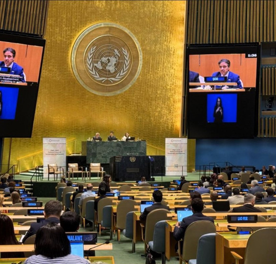 HLPF 2025: Qatar at the Forefront of Social Development