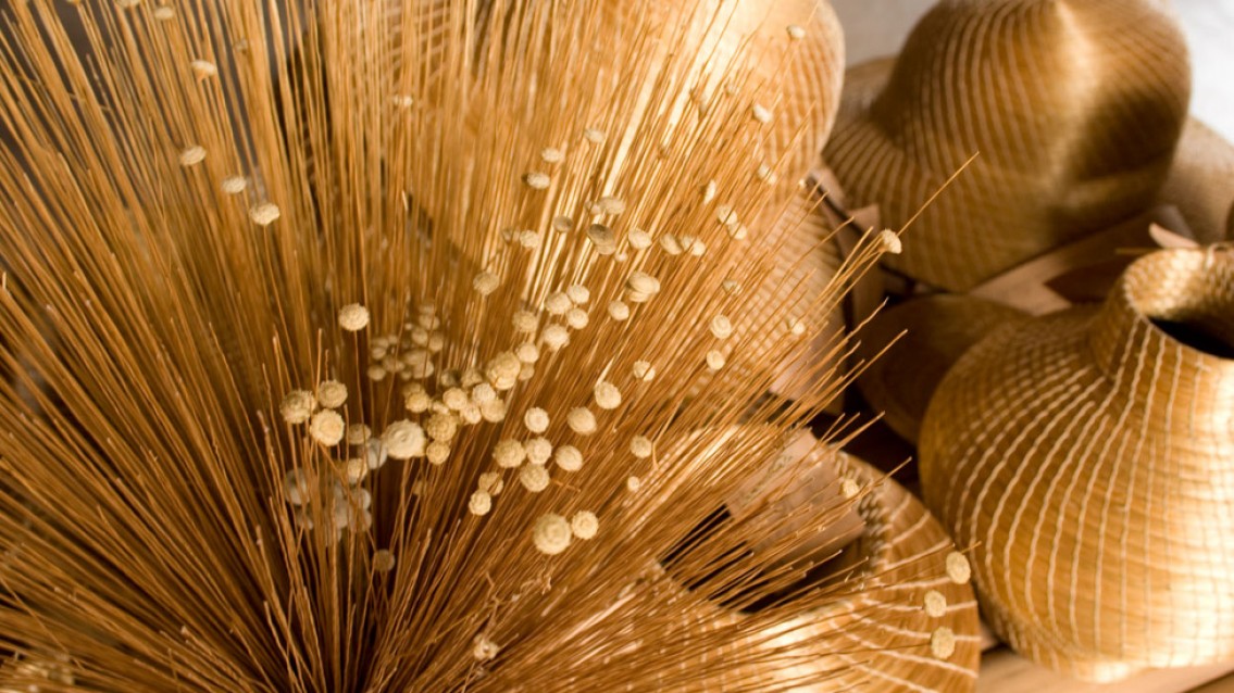 Mandioca e Capim Dourado compõem Ecosol em Ponte Alta